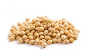 Tahun Baru Disambut dengan Lonjakan Harga Kadelai