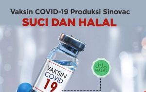 MUI Tetapkan Vaksin COVID-19 Produksi Sinovac Halal dan Suci