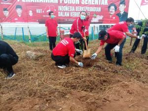 PDIP Provinsi Jambi Sambut HUT ke-48 Dengan Menanam Pohon di Pinggir Sungai Batanghari