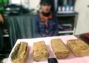 Sat Resnarkoba Kerinci Amankan 4 Kg Ganja