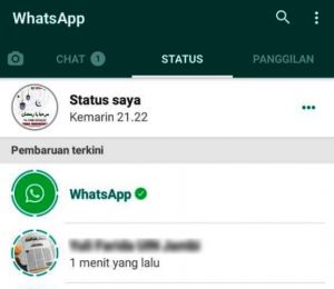 Mendadak What App Muncul di Status Pengguna Bikin Heboh