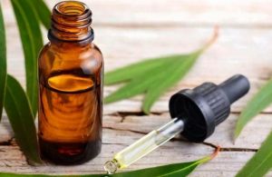 Bahaya Minum Minyak Kayu Putih untuk Tangkal Covid-19