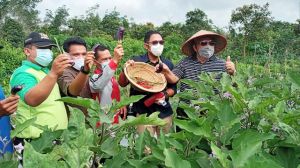 Bupati dan SKK Migas – PetroChina Memanen Hasil Pertanian Organik di TPA Lubuk Terentang.