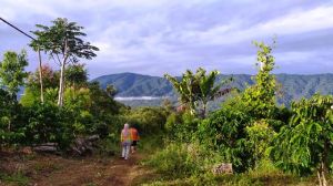 Warsi Apresiasi Pemda Merangin Dukung Perhutanan Sosial