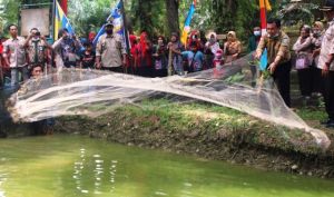 Bupati Al Haris Panen Ikan di Kolam Pokdakan SH 1