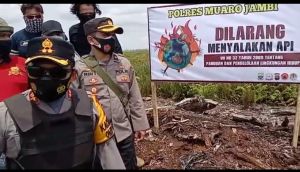 Patroli Antisipasi Karhutla, Polres Muaro Jambi juga Amankan 15 Kubik Kayu Diduga Ilegal