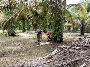 Di Sela Kegiatan TMMD, Kapten Inf Rilman Bentangkan Sajadah di Kebun Sawit