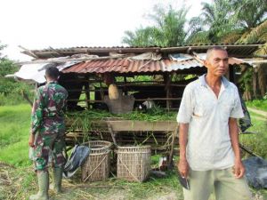 Meski Sibuk Bangun Jalan, Warga Salut Satgas TMMD Mau Bantu Potong Rumput Untuk Ternak