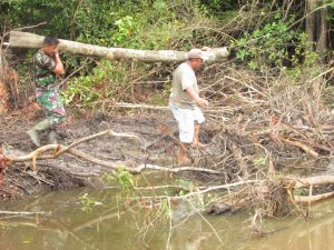 Warga Gotong Royong Angkat Pohon Untuk Keluarkan Alat Berat yang Terjebak di Kanal