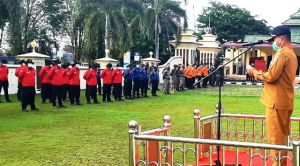 Wabup Merangin Pimpin Apel Kesiapan Pencegahan Karhutla