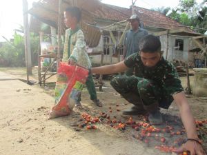 Satgas Bantu Anak-anak Kumpulkan Buah Sawit