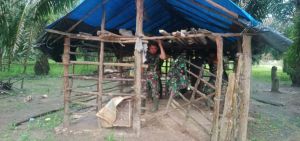 Hujan Lebat, Satgas Berteduh di Kandang Sapi