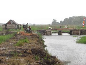 Warga dan Satgas Tetap Lanjutkan Pengerjaan Jembatan di Tengah Hujan
