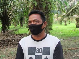 Ketua BPD Sungai Terap Berharap Jalan yang Sudah Dibuka Bisa Dicor
