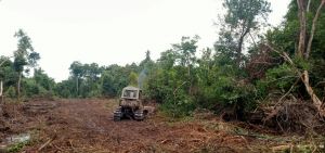 Pembukaan Jalan Rampung, Kini Sungai Terap-Sungai Gelam Terhubung