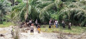 Tim Gabungan Polda Jambi Tutup Sumur Minyak Ilegal Driling di Bungku Batanghari