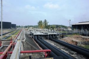 Transisi Blok Rokan, SKK Migas Mendorong Partisipasi Perusahaan dan Tenaga Lokal