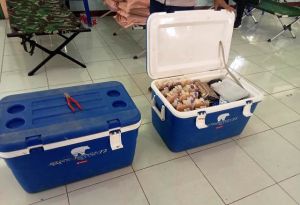 Selama Pandemi Covid-19, Kota Jambi Kekurangan Stok Darah Hingga 90 Persen