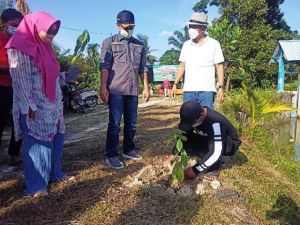 Gerakan Penanaman 1001 Pohon Serentak Desa Panca Mulya Menuju Desa Agrowisata