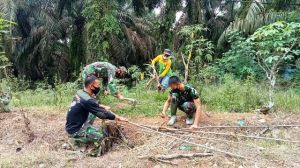  Satgas TMMD Kodim 0420/Sarko Bantu Warga Panen Singkong di Desa Bukit Beringin