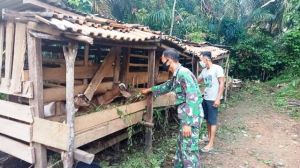 Sambil Komsos, Anggota Satgas TMMD Bantu Warga Beri Pakan Ternak