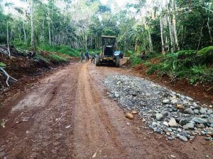 Satgas TMMD Kodim sarko Terus Kebut Pengerasan Jalan di Desa Bukit Beringin
