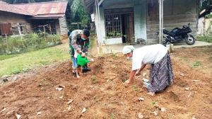 Satgas TMMD Kodim Sarko Bantu Warga Desa Bukit Beringin Bercocok Tanam