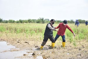 Antisipasi Karhutla, Ketua DPRD dan Kapolda Masuk Lumpur Tinjau Taman Nasional Berbak di Tanjabtim