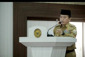 Penanganan Karhutla di Provinsi Jambi Harus Ada Sanksi Tegas, Al Haris: Tanpa Kompromi 