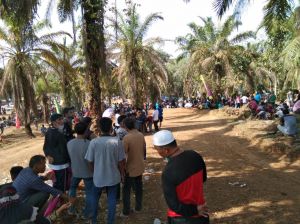 Tidak Boleh Ada Kerumunan di Pandemi Covid- 19, Grasstrack Pasang Logo IMI di Merangin Tetap Digelar