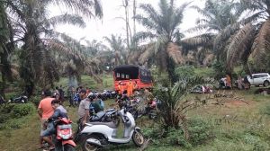 BPBD Merangin Belum Turun, Basarnas Bungo Beraksi