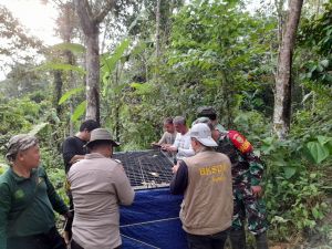 Terkam 3 Warga di Merangin, Akhirnya Harimau Kena Jaring BKSDA