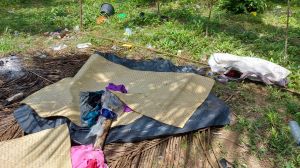 Konflik Orang Rimba dan Perkebunan sawit, Masalah Akut yang Tak Kunjung Selesai