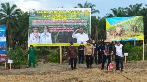 Kunker ke Jambi, Mentan RI Kucurkan Bantuan Rp 10 M Lebih