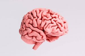 Manfaat Senam Otak untuk Anak-Anak dan Orang Dewasa