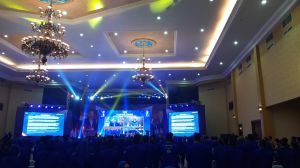 Camelia Hasip Tak Masuk Kepengurusan Demokrat