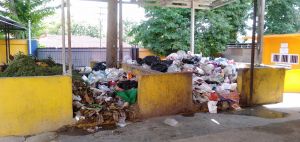 Duh, Tumpukan Sampah di RSUD Raden Mattaher Jambi Keluarkan Ulat Belatung