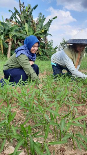 Pertamina Patra Niaga Regional Sumbagsel Resmikan Program Kelurahan Talang Bakung Hijau