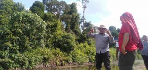 Unit Usaha Lagan PTPN VI Jambi Konsep Water Management Antisipasi Ancaman Karhutla