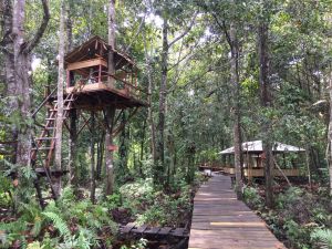Pembangunan Sarana Dan Prasarana Ekowisata Gambut Desa Pematang Rahom Pada Kawasan Hutan Desa