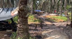 Belasan Pelaku Ilegal Drilling Diamankan Ditreskrimsus Polda Jambi 