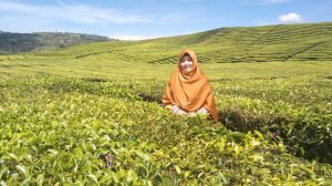 Inflasi dan Kenaikan Harga BBM: Kegagalan Berulang Kapitalisme