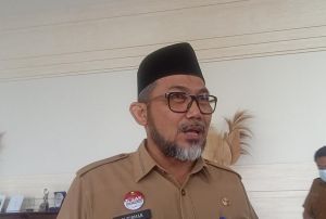 10 Ribu Jumlah Tenaga Honorer, Pemprov Jambi Hanya Usulkan 150 PPPK