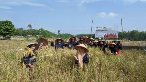 Pro-Ide Setiris UNJA Bersama Petani Wujudkan Ketahanan Pangan