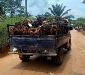 Bahagianya Warga Bisa Manfaatkan Jalan TMMD Angkut Hasil Bumi