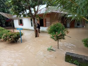Dua Desa Batang Masumai Dilanda Banjir, Desa Pulau Baru Harus  Pakai Perahu 