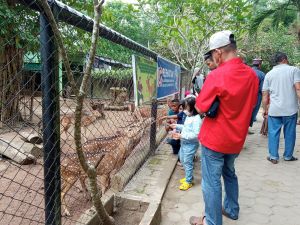 Libur Nataru, Pengunjung Kebun Binatang Taman Rimba Jambi Membludak