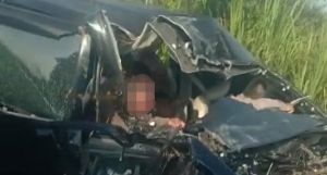 Avanza vs Truk Bermuatan Sawit, Korban Dilarikan ke Rumah Sakit