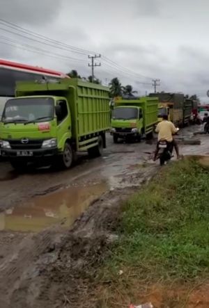 Dishub Provinsi Jambi Sebut Cuaca Buruk Jadi Penyebab Kemacetan di Lintas Tembesi - Sarolangun