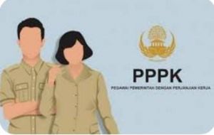 Pemprov Jambi Keluarkan Hasil Seleksi PPPK Guru Tahun 2022 : Dari Ribuan Yang Daftar, Hanya 108 Oran
